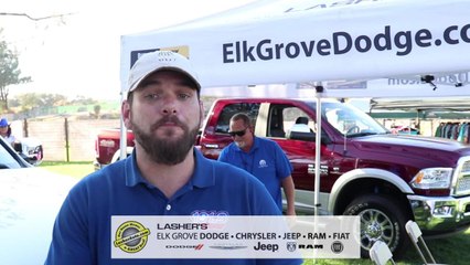 wolf fest 2017 Recap 2