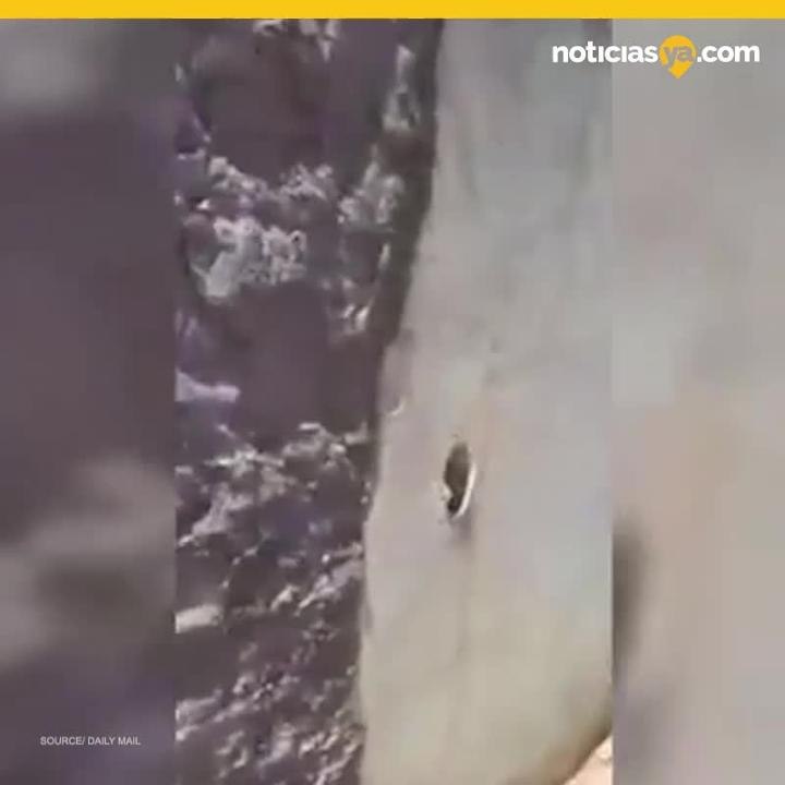 Ataque guarderia Brasil