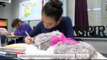 Noticias Laredo 5pm 092717 - Clip - CARTAS