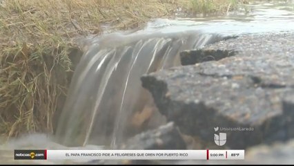 Noticias Laredo 5pm 092717 - Clip - LLUVIAS MARISSA