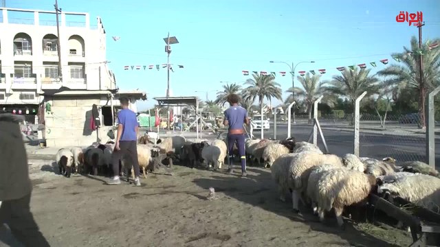 تقرير خاص من حديث بغداد.. معاناة المواطن بسبب براثن الفوضى