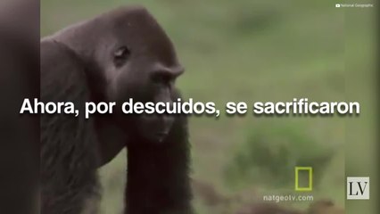 Qué tiene más valor, ¿la vida humana o la de las demás especies_ (1)