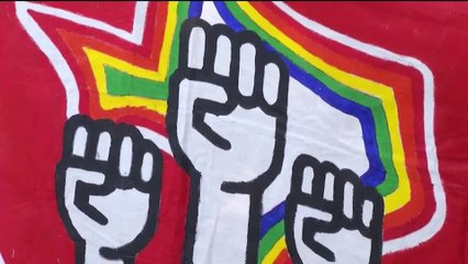 Continúa la lucha contra la ley SB4