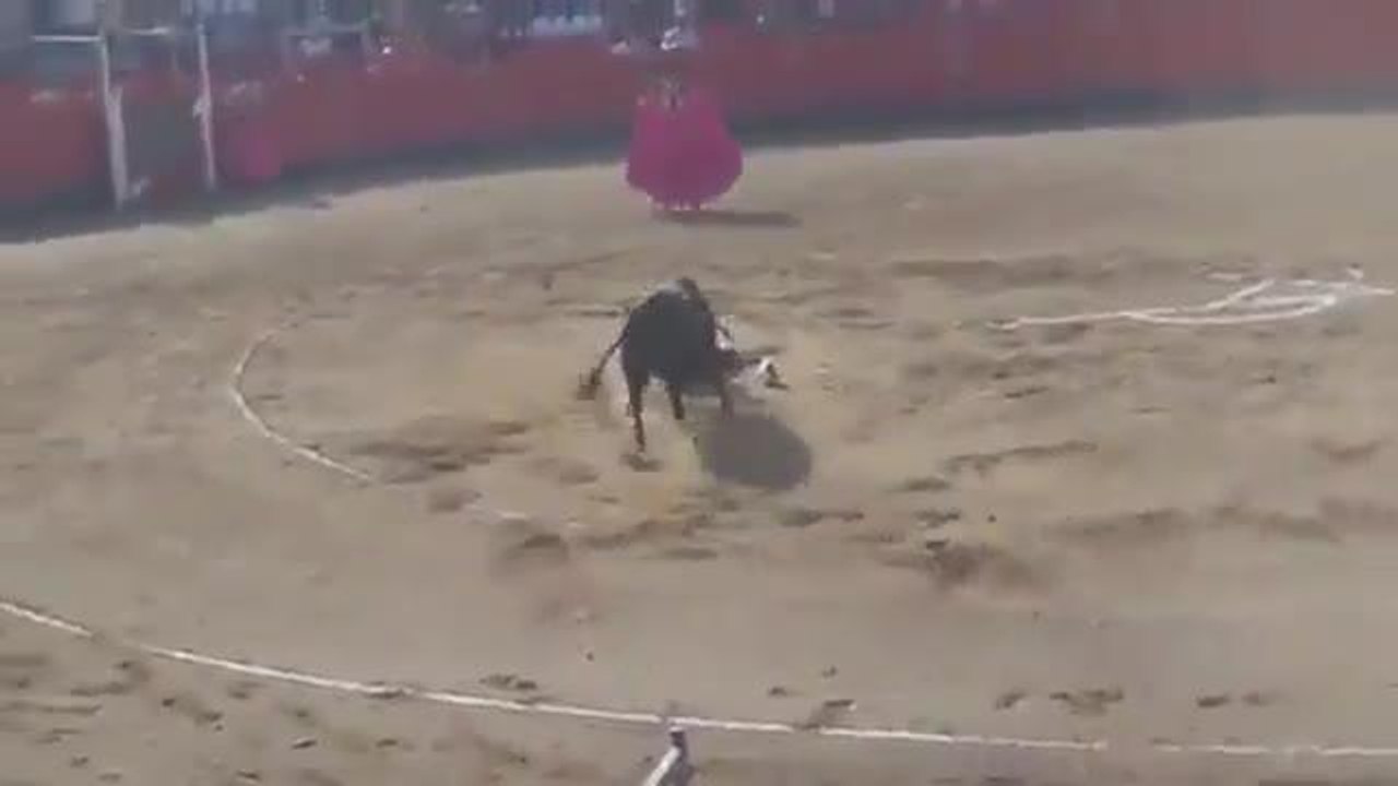 Toro