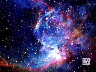 Hallan sistema estelar con siete planetas habitables