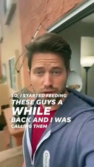 Look at all those chickens |Meme |Funny video |Video lucu