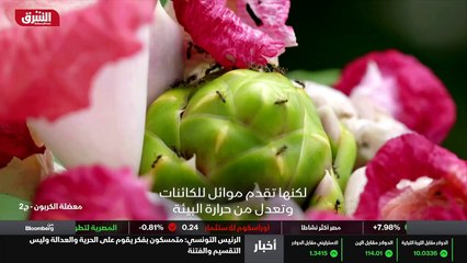 ...العقل والجسم . كما يعلم علماء المناخ أن ...