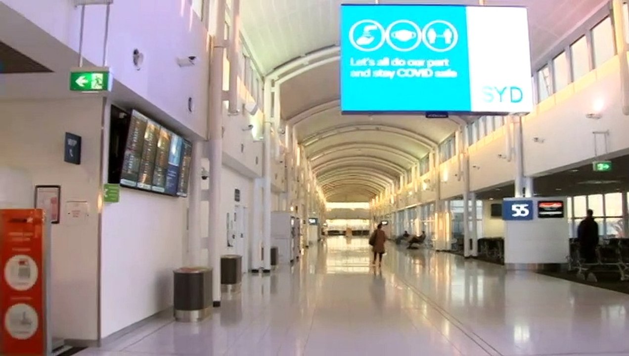 Rex Airlines resumes services, ramps up domestic flights