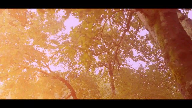 Aracely Quiche _ Mix vallenato 2021