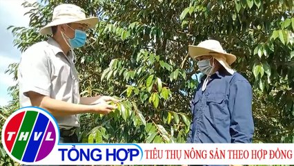Nông nghiệp bền vững: Tiêu thụ nông sản theo hợp đồng