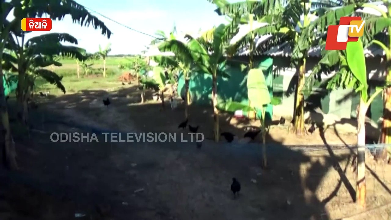 Special Story | Meet Cuttack Farmer Who Earns Rs 40K Per Month From Farming