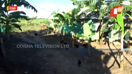 Special Story | Meet Cuttack Farmer Who Earns Rs 40K Per Month From Farming