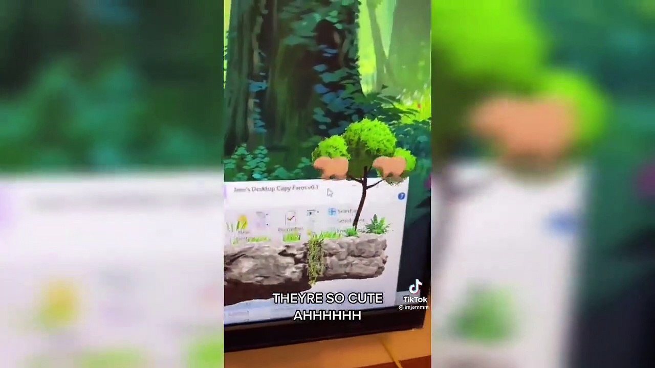 TikToks That Are Actually Funny