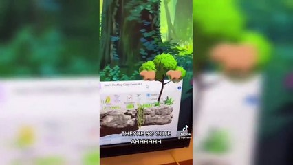 TikToks That Are Actually Funny