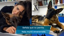 Llora Bárbara de Regil a su mascota