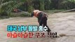 [세상만사] 외줄 타고 수재민 구조하는 태국 군인들 / YTN