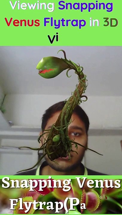 Viewing Snapping Venus Flytrap(part1) In 3D View