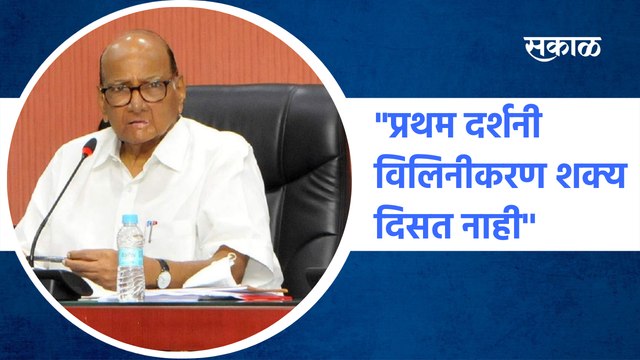 Sharad Pawar | प्रथम दर्शनी विलिनीकरण शक्य दिसत नाही , शरद पवार