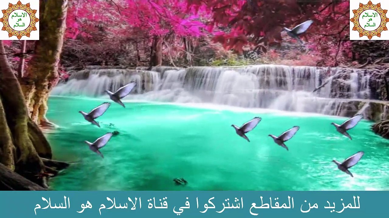 ام المساكين