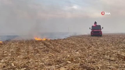 Son dakika haber! Tarlada çıkan yangında 65 dönüm zarar gördü