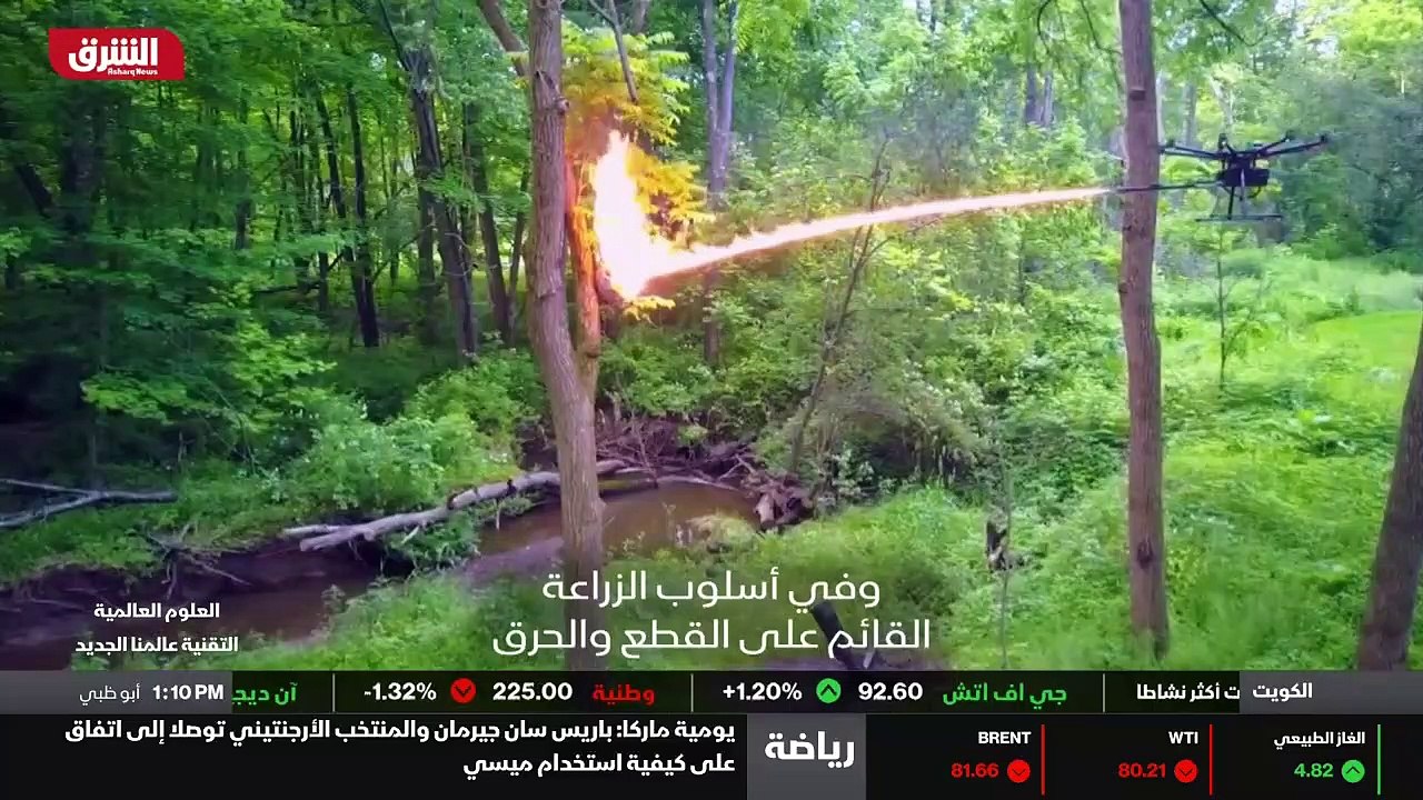...في كاليفورنيا...