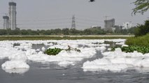 Pollution: Yamuna black water covered with white foam