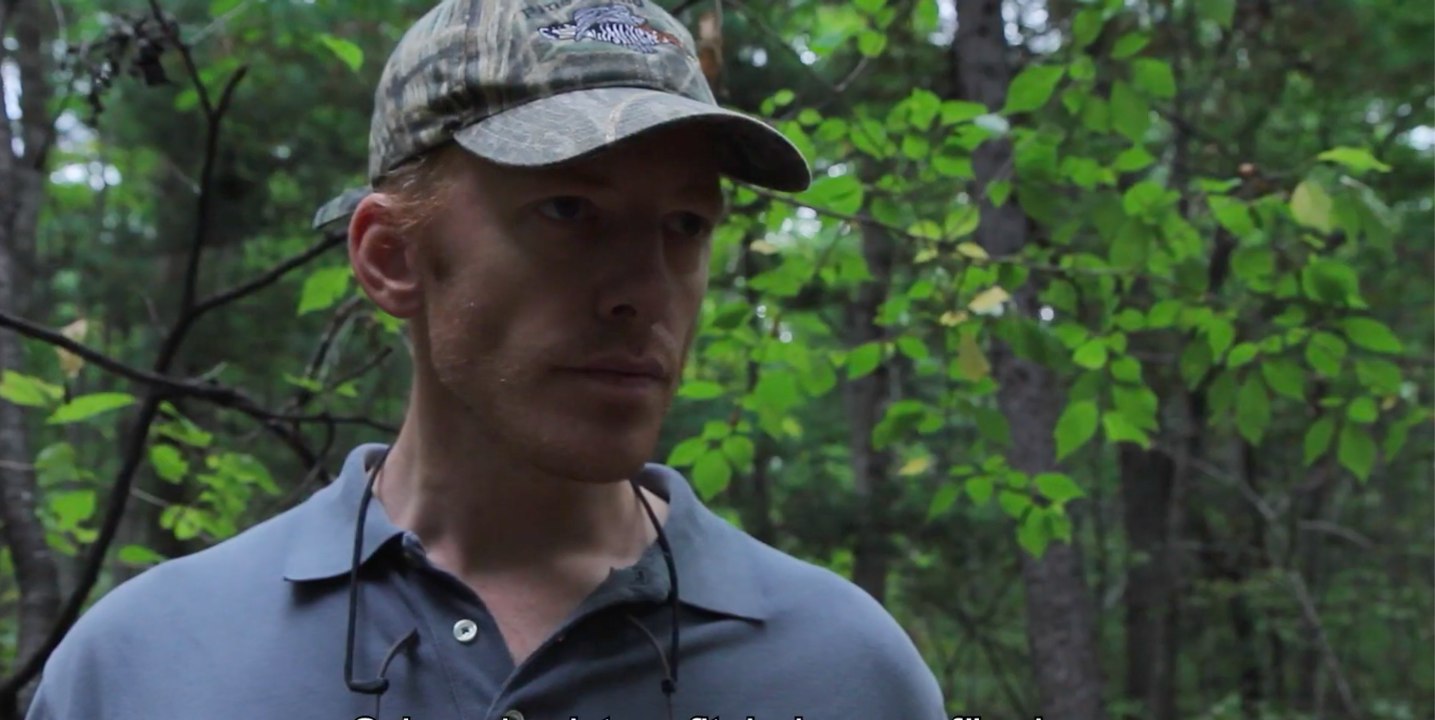 Wood Der geraubte Wald - Trailer (Deutsche UT) HD