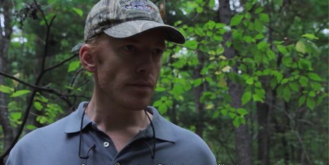 Wood Der geraubte Wald - Trailer (Deutsche UT) HD