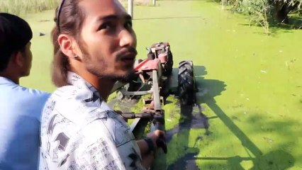 อ่างทอง ทุกข์ชาวสวนมะม่วงหลังนกปากห่างบุกยึดต้นมะม่วงเป็นที่อยู่อาศัยภายในสวนมะม่วงพื้นที่กว่า100ไร่มานานหลายปี