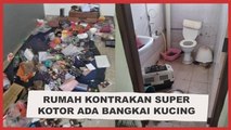 Viral Rumah Kontrakan Super Kotor Ada Bangkai Kucing, Bikin Publik Bergidik