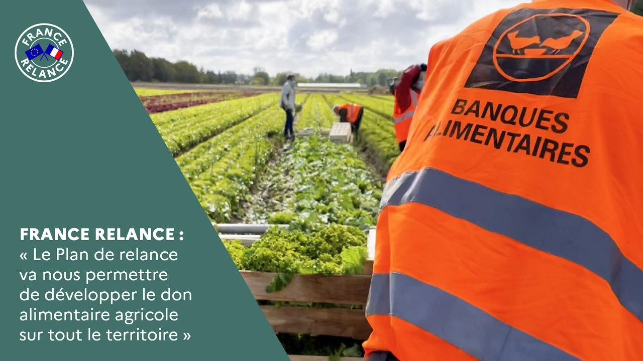 "Le plan de relance va nous permettre de développer le don alimentaire agricole sur tout le territoire"