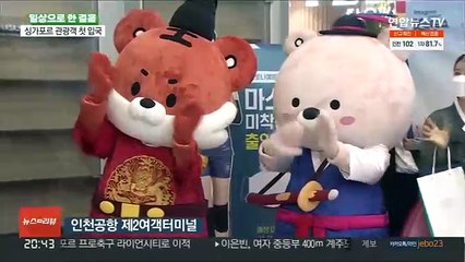 '트래블 버블' 맺은 싱가포르 관광객 첫 입국…무격리 관광