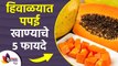 थंडीत पपई खाण्याचे ५ आरोग्यदायी फायदे | 5 Health Benefits of Papaya | 5 Benefits of Eating Papaya