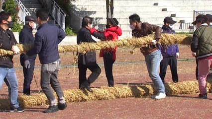 [울산] 320년 전통 큰 줄다리기 '마두희 축제' 19일 개최...규모 축소해 열려 / YTN