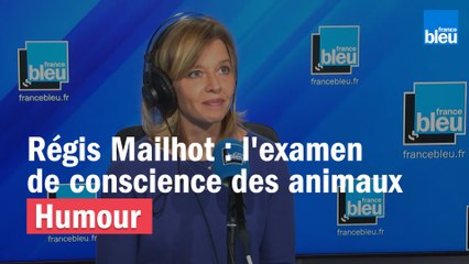Régis Mailhot : l'examen de conscience des animaux