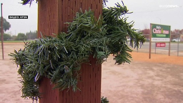 В США не хватает рождественских ёлок