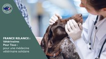 Vétérinaires Pour Tous :  une médecine vétérinaire solidaire