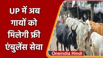 Uttar pradesh: गायों के लिए होगी Free Ambulance Service, 15 मिनट में होगा इलाज | वनइंडिया हिंदी