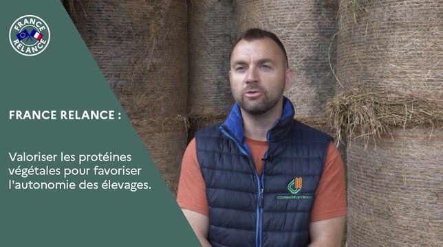 Des protéines végétales pour l'autonomie des élevages