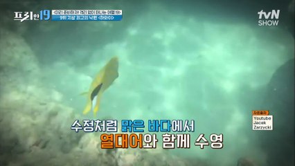 지상 최고의 낙원 하와이~♪ 형형색색 열대어와 즐기는 여행    [미리 준비하자! 격리 없이 떠나는 여행 19]