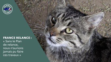 "Sans le Plan de relance, nous n'aurions jamais pu faire ces travaux"