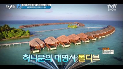 모히또 가서 몰디브 한 잔~? 전 세계의 음식을 즐기는 리조트!    [미리 준비하자! 격리 없이 떠나는 여행 19]