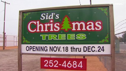 ΗΠΑ: Χωρίς έλατα η Καλιφόρνια