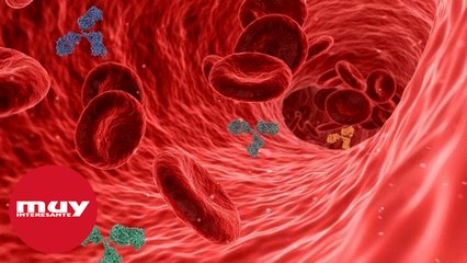Hallan docenas de nuevos antibióticos naturales dentro del cuerpo humano