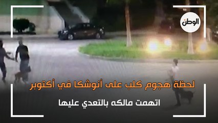 لحظة هجوم كلب على أنوشكا في أكتوبر اتهمت مالكه بالتعدي عليها