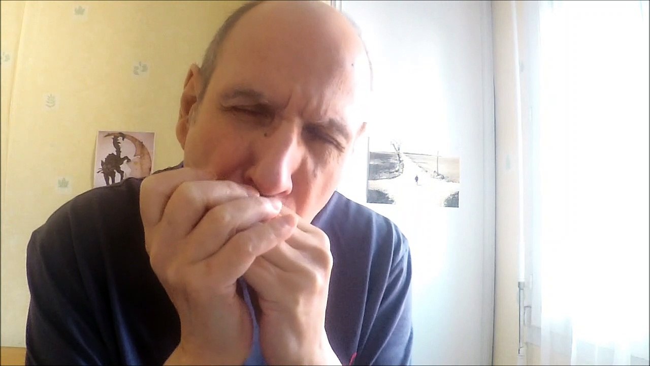 Sometimes I feel Like A Motherless Child - (Blues harmonica cover)