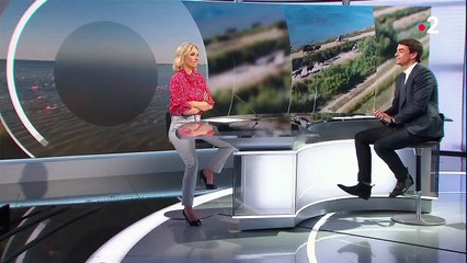Camargue : le domaine de Méjanes, une terre préservée
