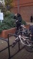 Ils tentent de voler des vélos en pleine rue passante (Londres)