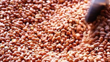 Texas Peanut Patties Are the Crunchy Old-School Treat To Make As Soon As Possible