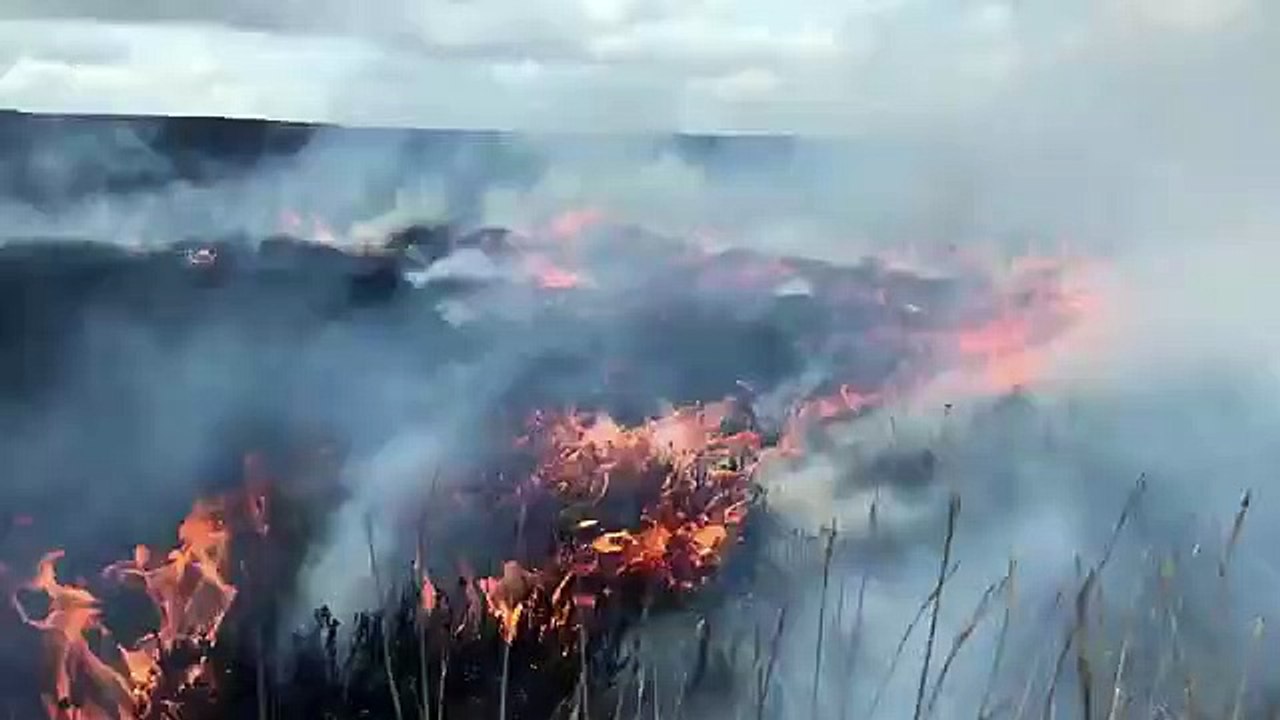 Climate change 'Intense heather burning' prompts complaints about smoke pollution in picturesque Sheffield valley